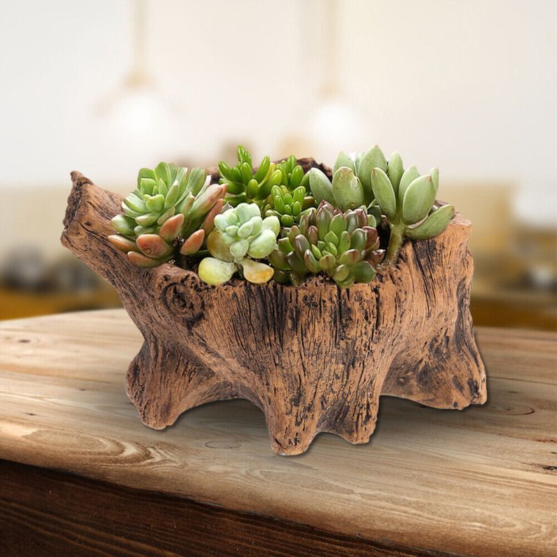 Hollow Log Succulent Display