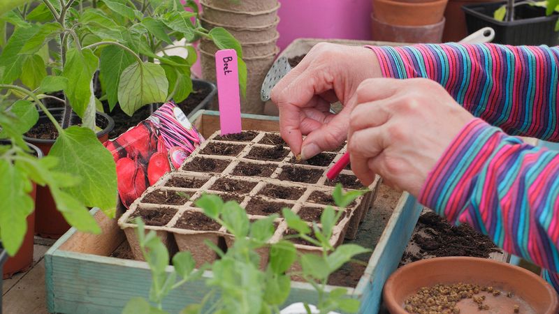 Homemade Garden Markers