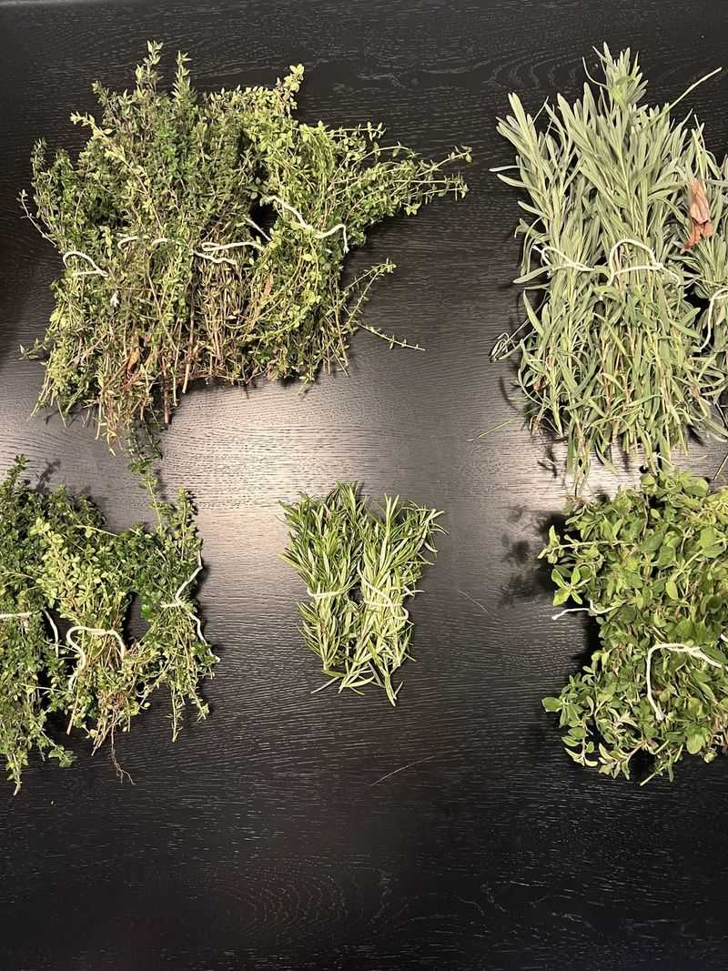 How do I dry and store herbs?