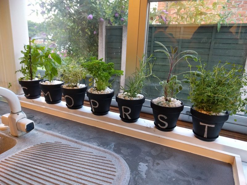 How do I grow herbs in small spaces?