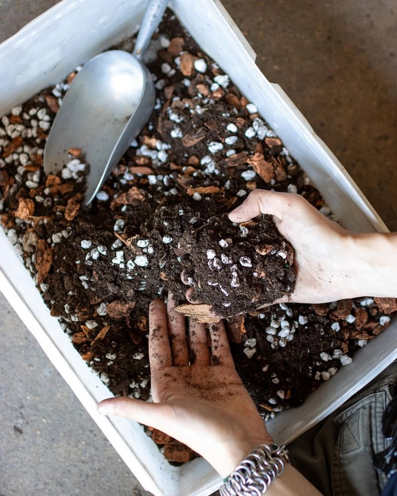 Hydroponic Soil Mix