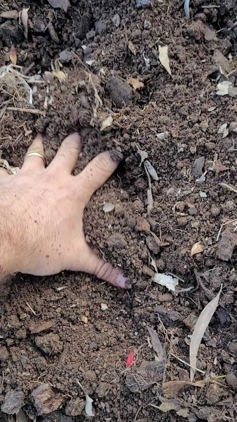 Ignoring Soil Life