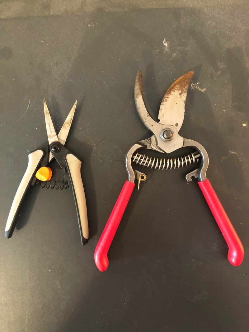 Not Cleaning Tools