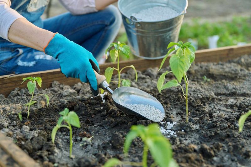 Ignoring Seedlings