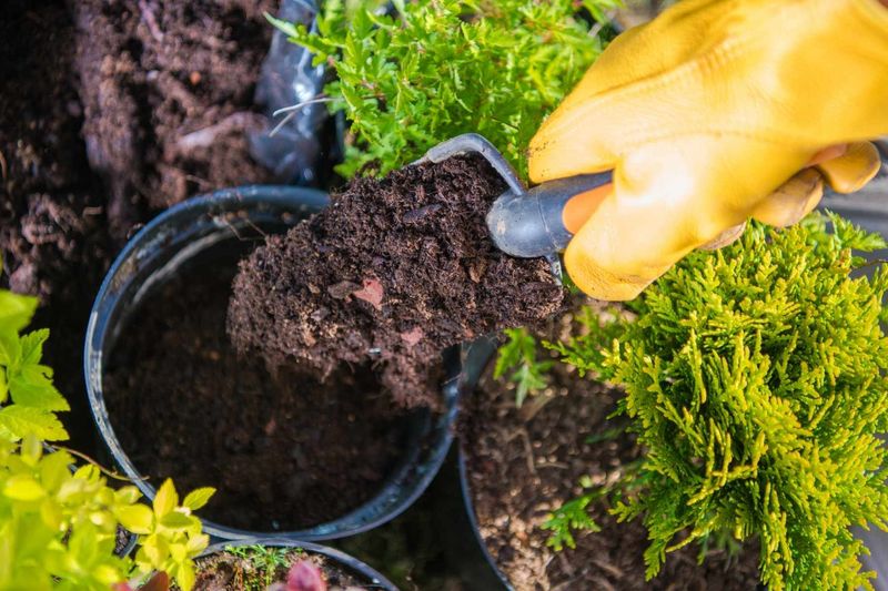 Ignoring Soil Health