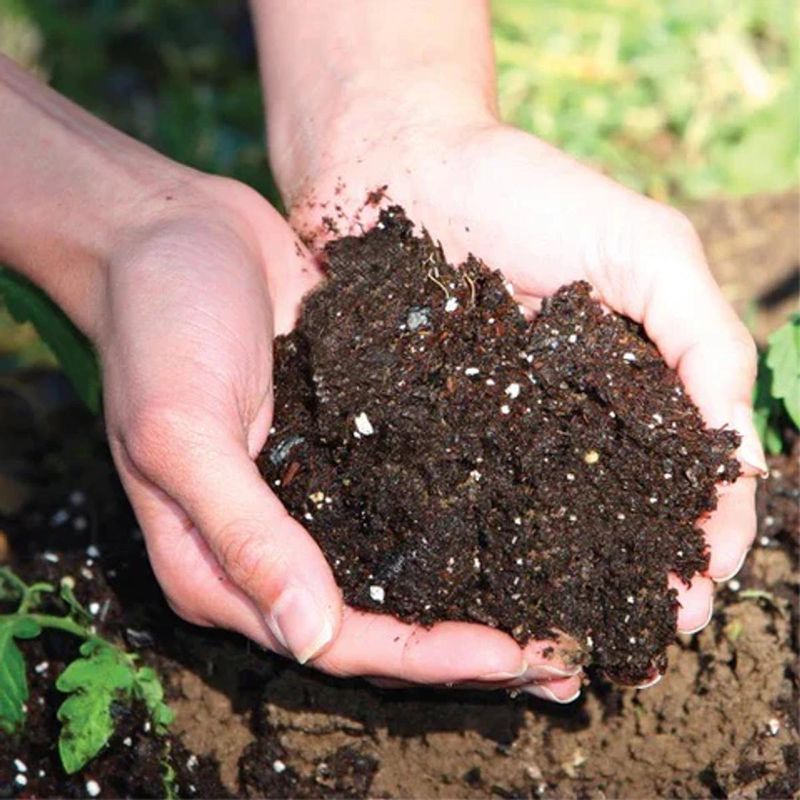 Ignoring Soil Health