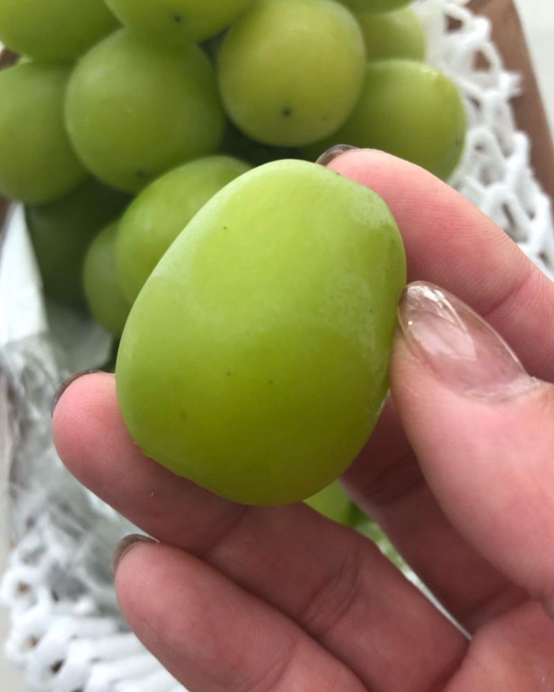 Illinois - Giant Grapes