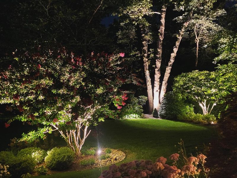 Illuminated Garden Path