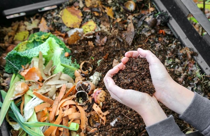 Improve Compost Quality