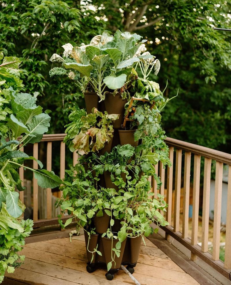 Incorporating Vertical Gardening