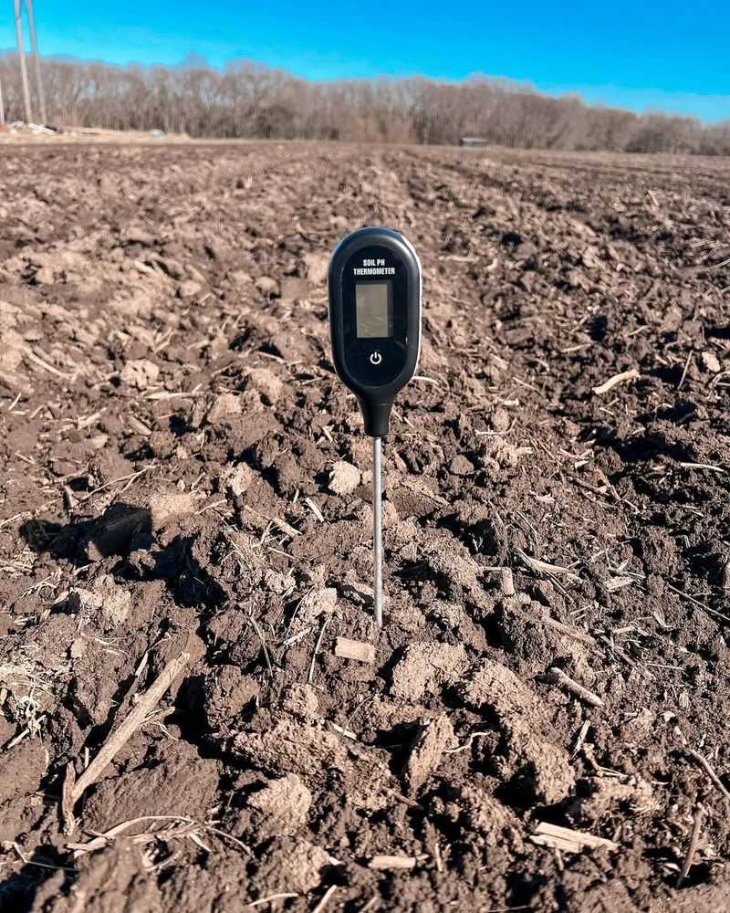 Increased Soil Temperature