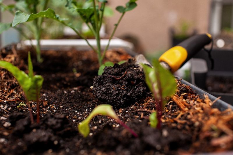 Indoor Composting