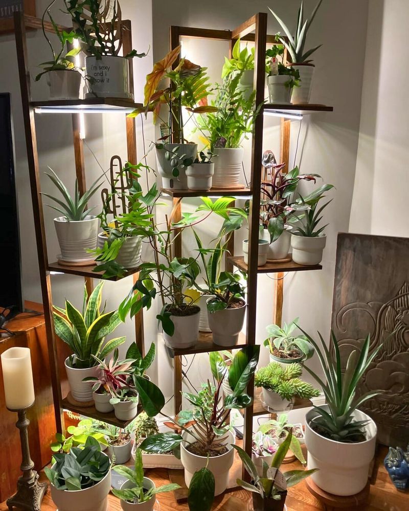 Indoor Garden Trellis