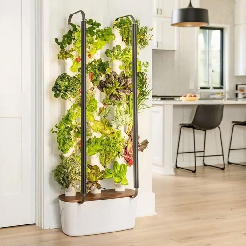 Indoor Hydroponic Systems