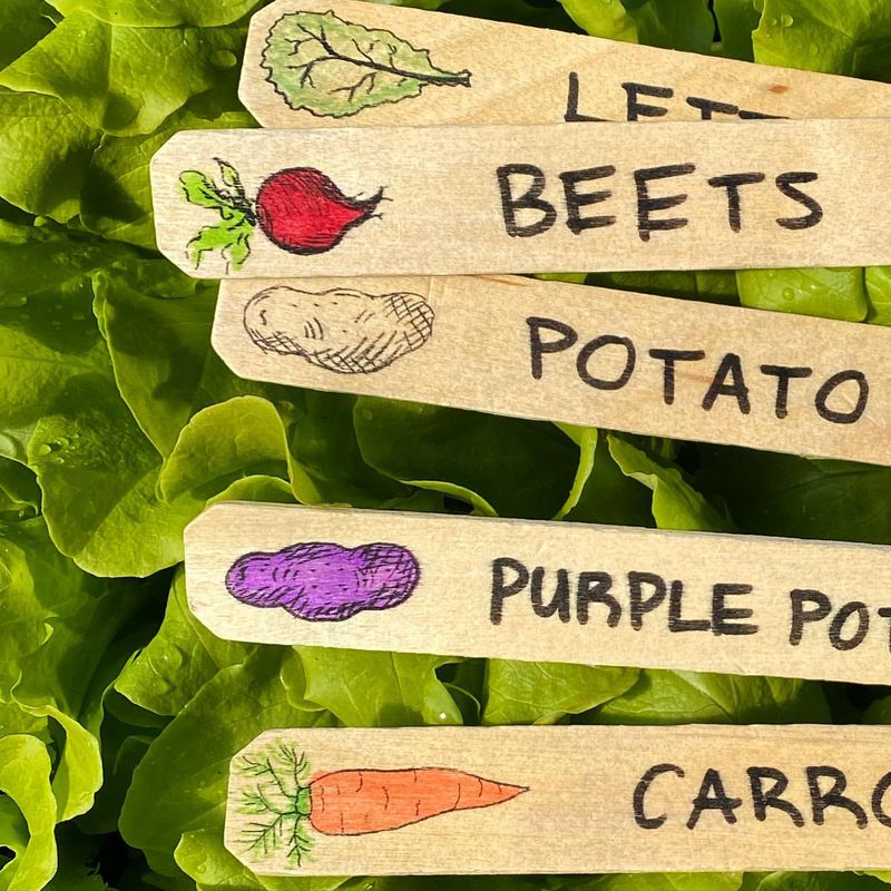 Innovative Garden Labels