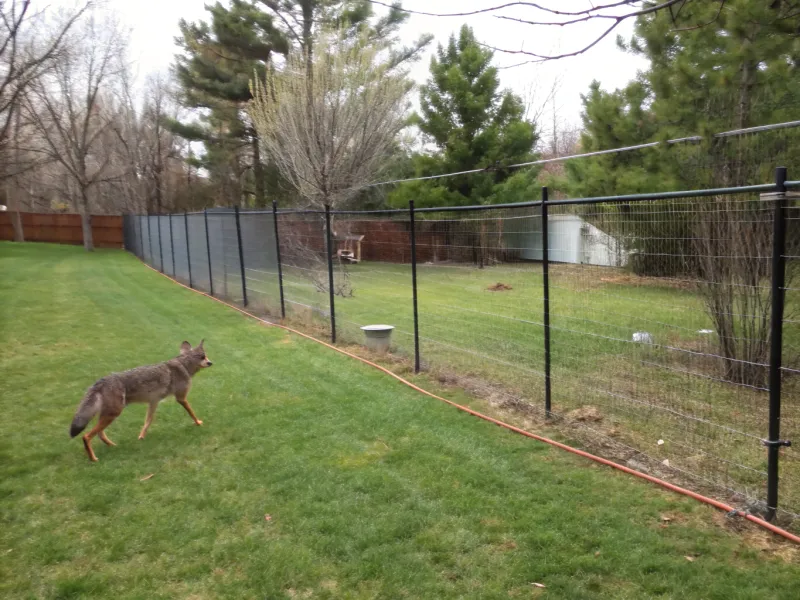 Install Electric Fencing