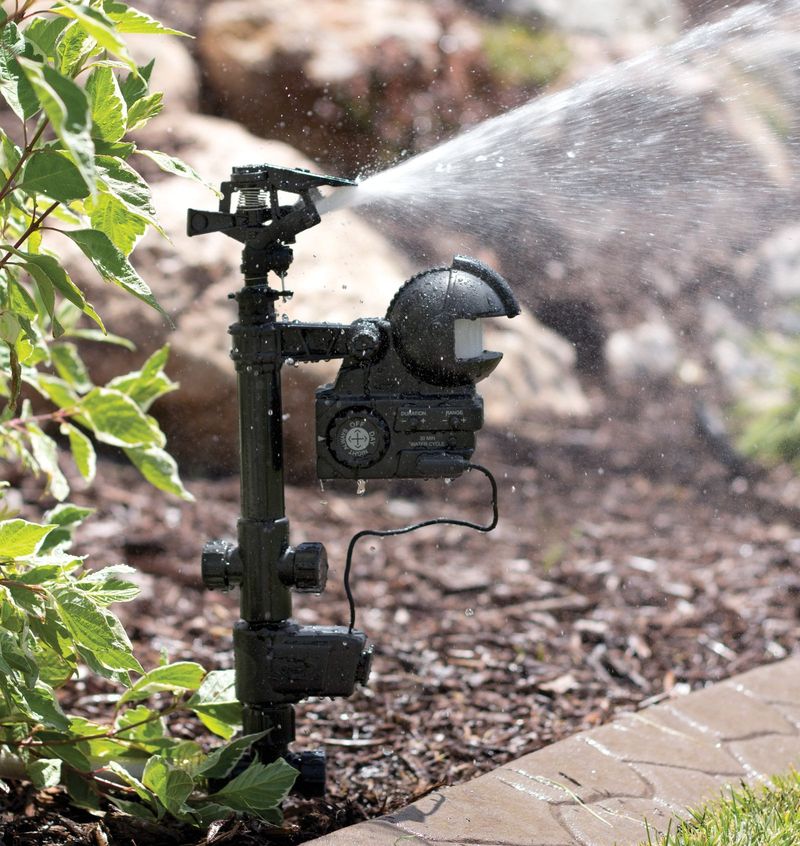 Install Motion-Activated Sprinklers