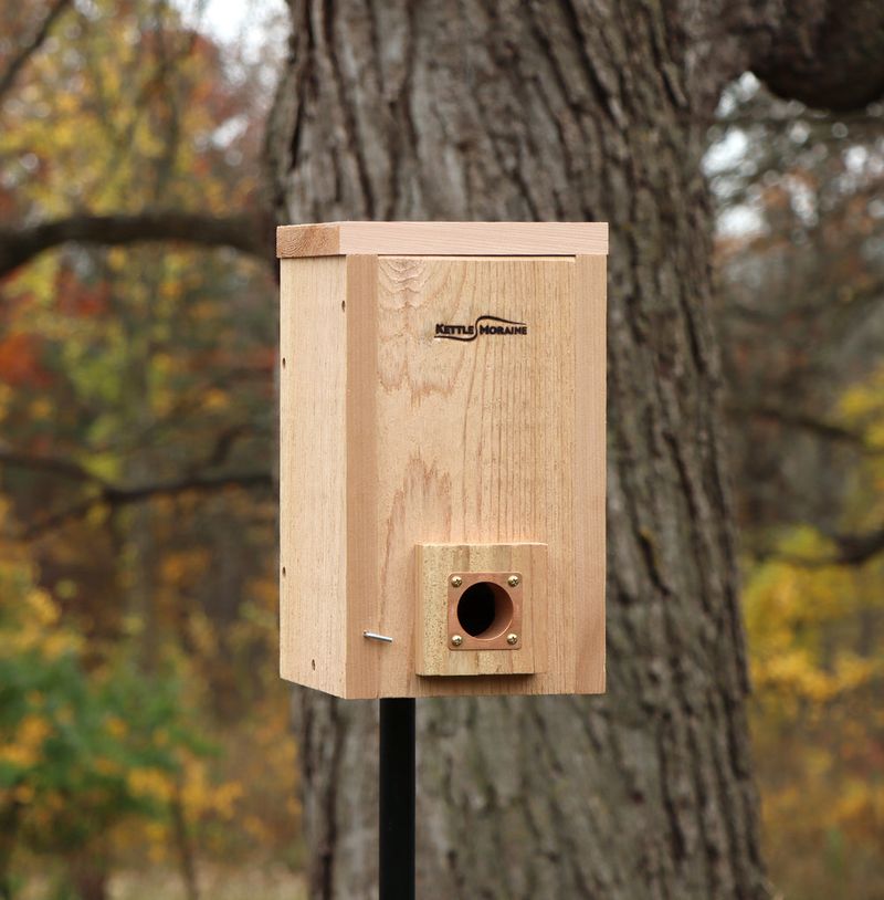 Install Nest Boxes