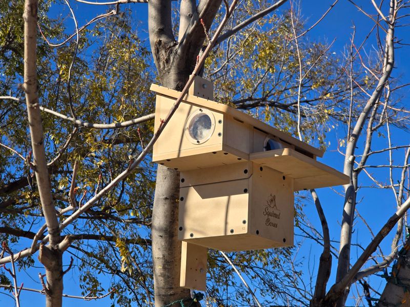 Install Nesting Boxes