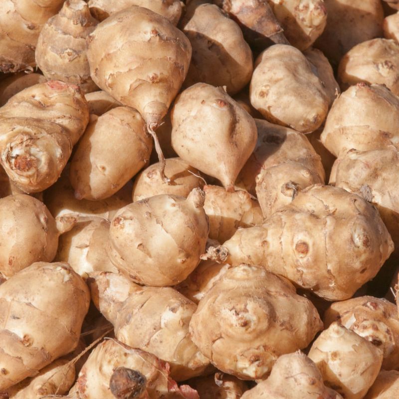 Jerusalem Artichoke