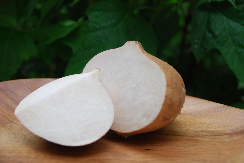 Jicama