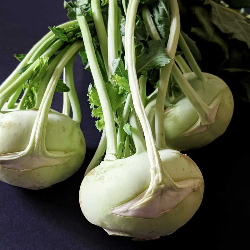 Kohlrabi