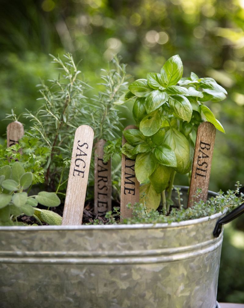 Label Your Plants