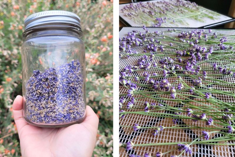 Lavender Cooking Salt