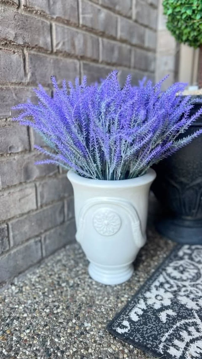 Lavender Love