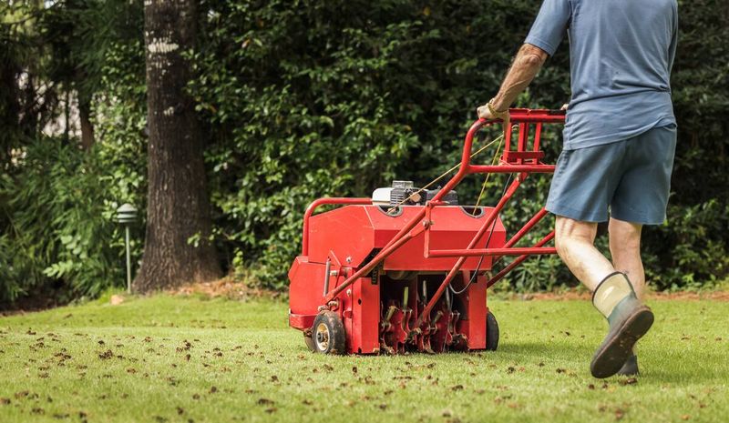 Lawn Aerator