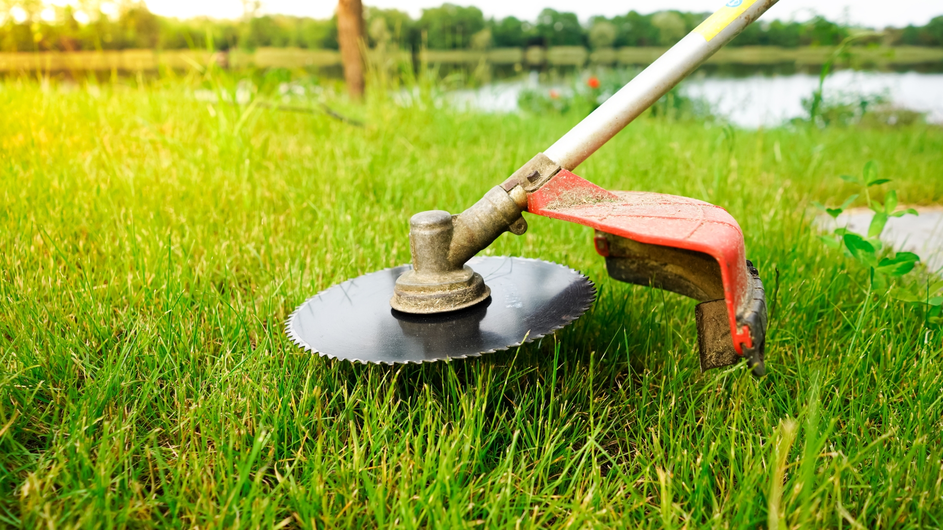 Cutting grass with a brushcutter on a sunny summer day. Lawn mowing on holidays.