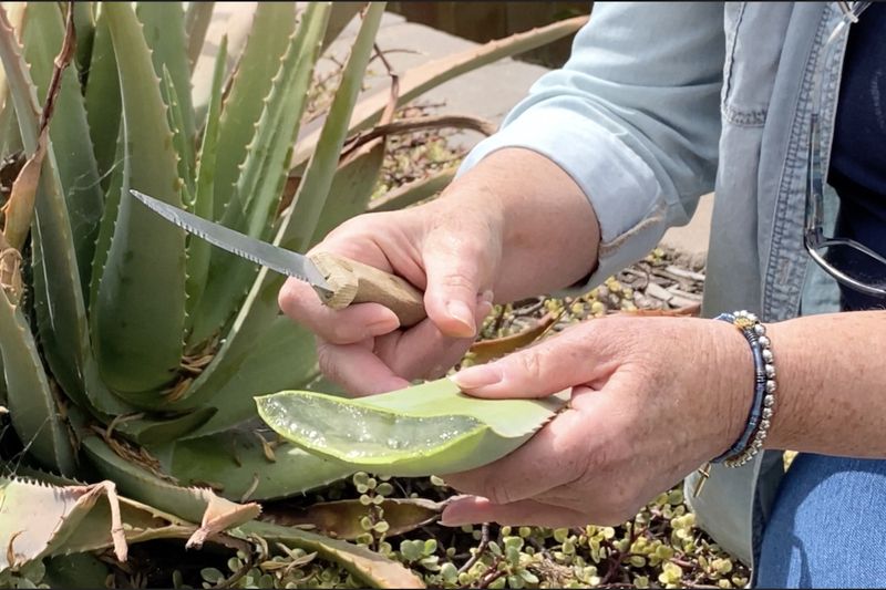 Leaf Care