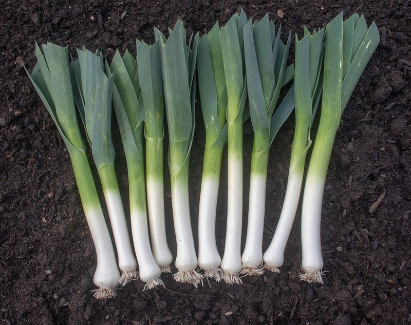 Leeks