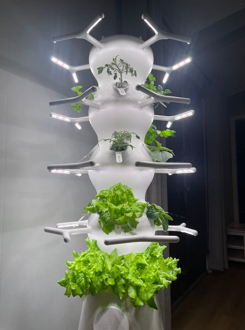 Lettuce Grow Farmstand