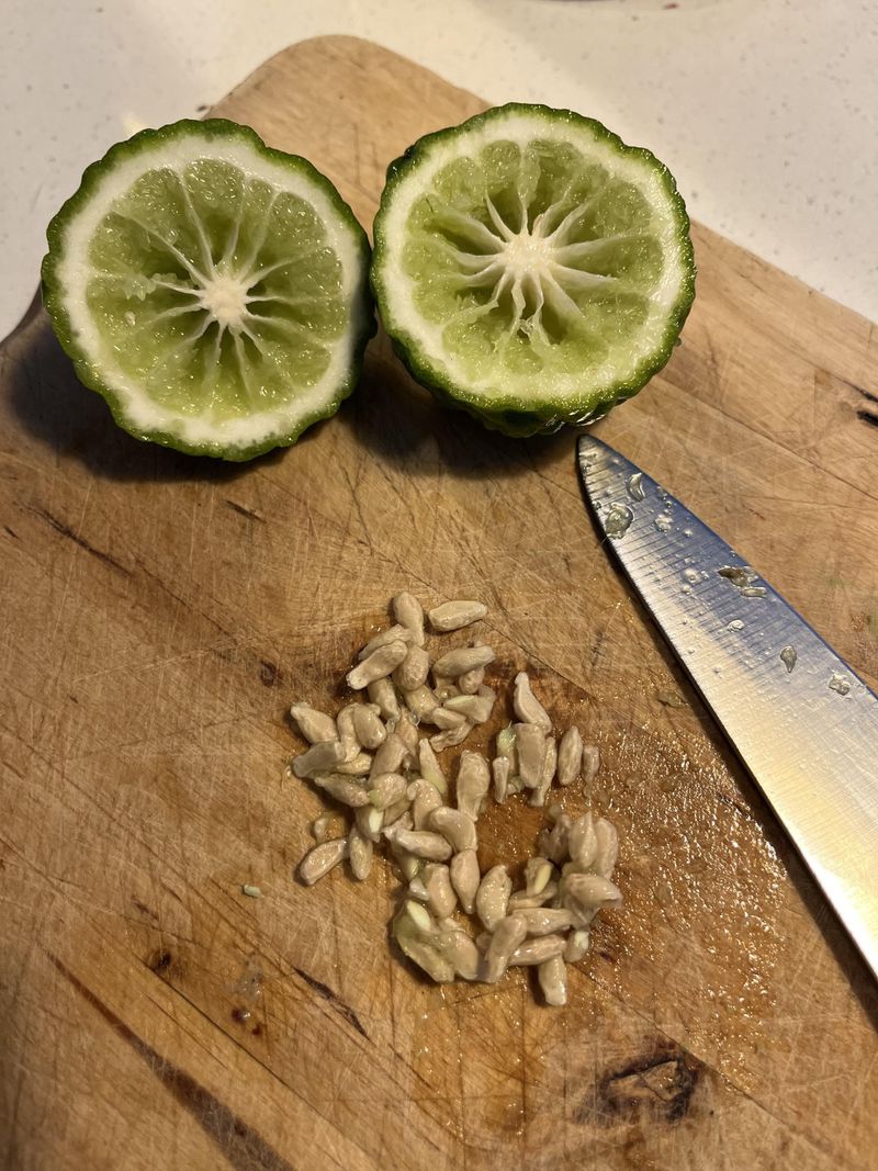 Lime Seeds