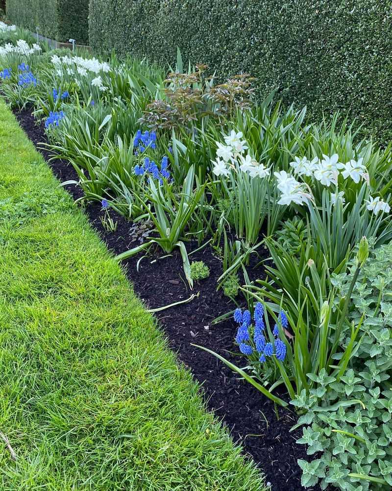 Living Plant Borders