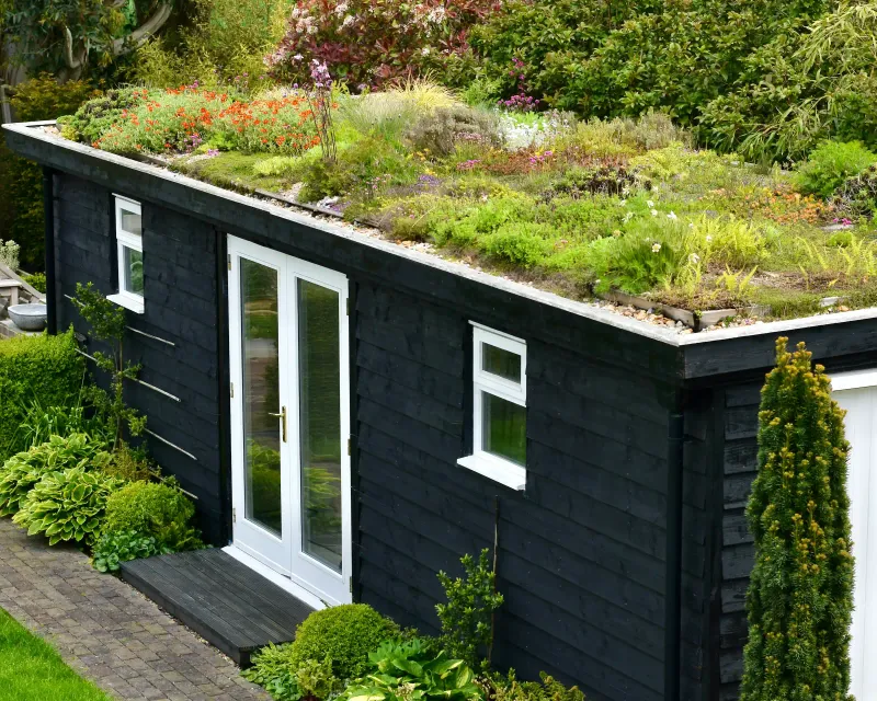 Living Roofs