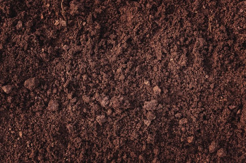 Loam-Based Mix