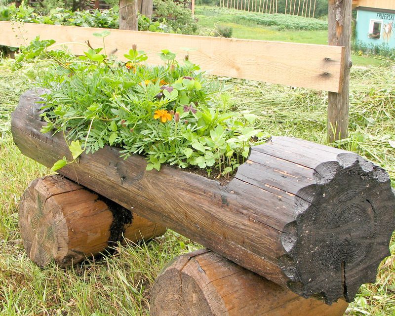 Log Planters