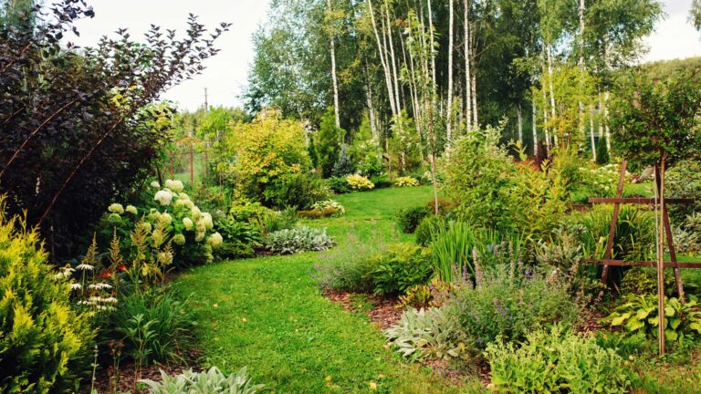 Adorable garden with perennials