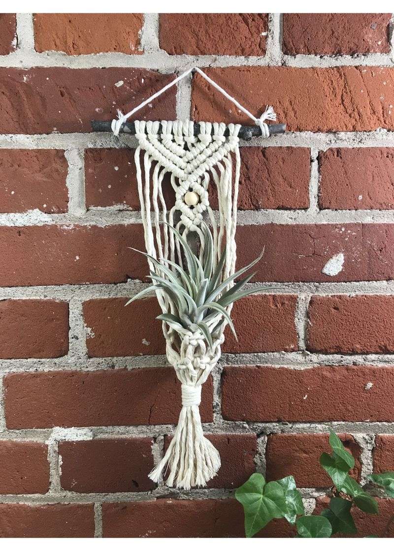 Macramé Plant Hanger