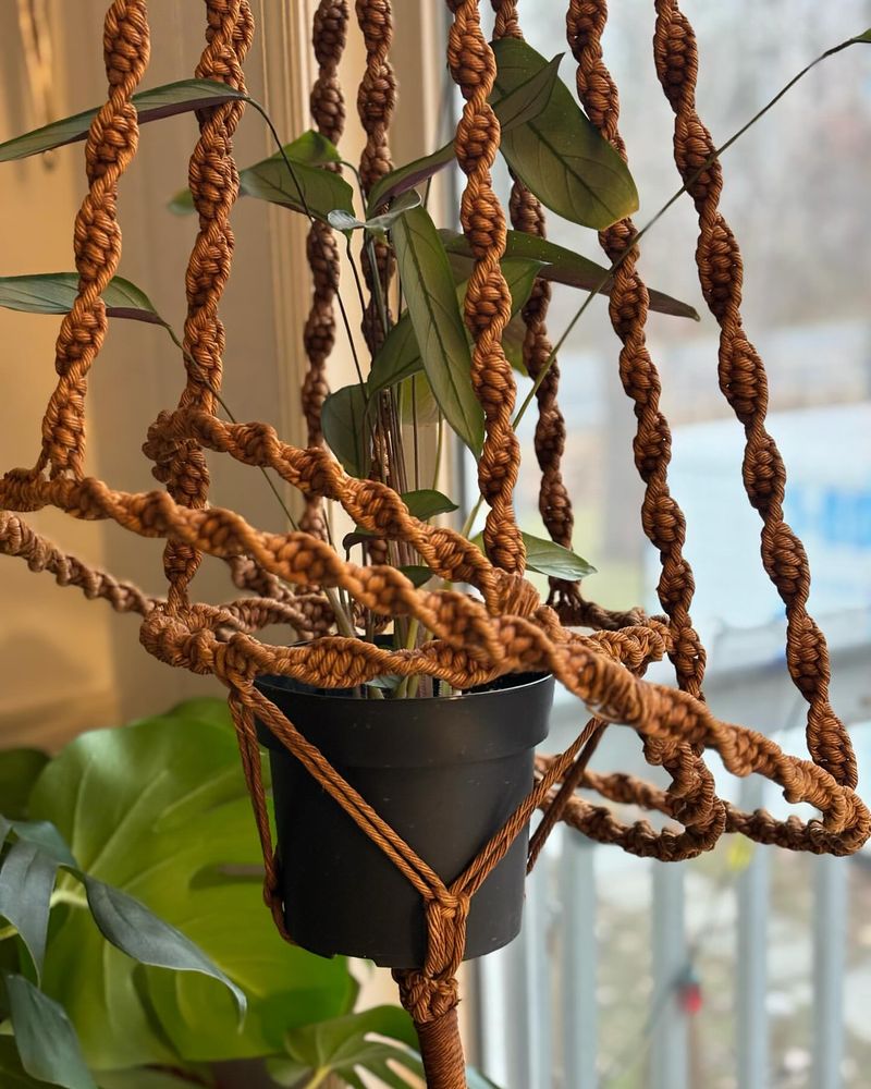 Macramé Plant Hangers