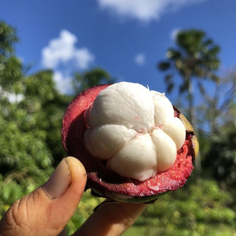 Mangosteen