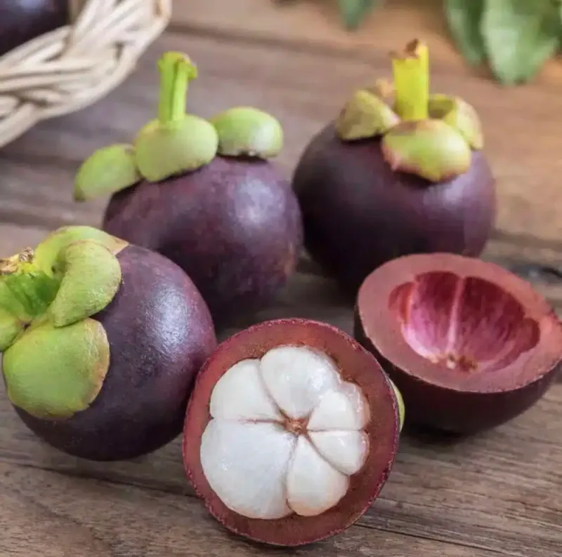 Mangosteen