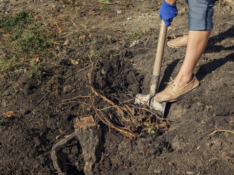 Manual Digging