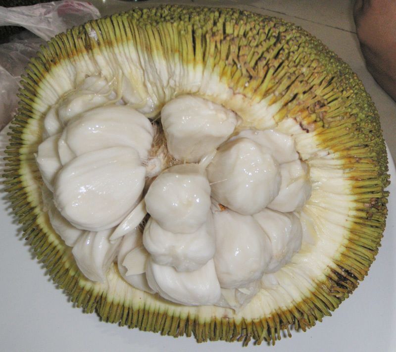 Marang