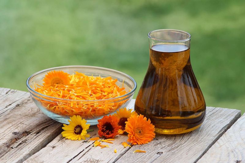 Marigold-infused Oil