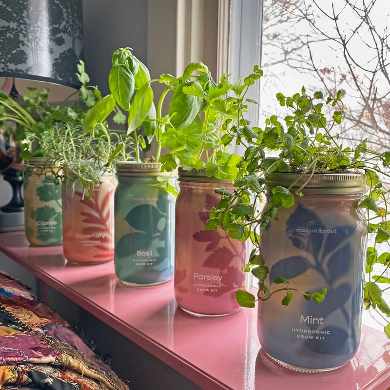 Mason Jar Herb Garden