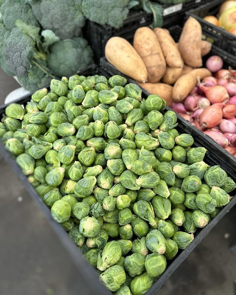 Mini Brussels Sprouts