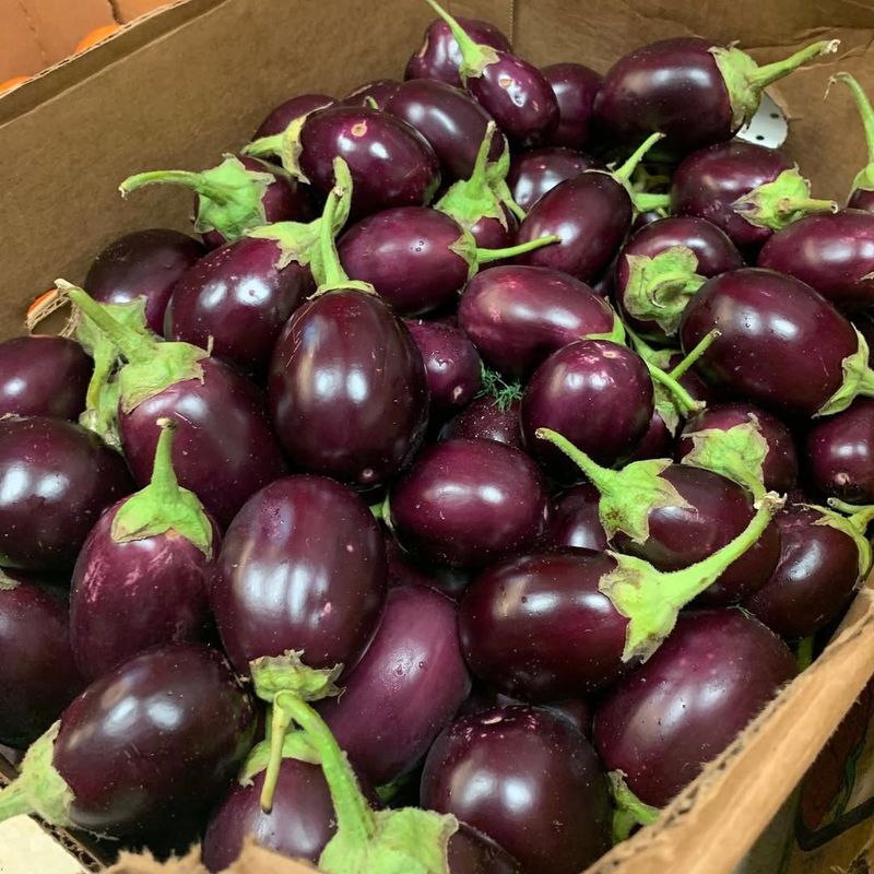 Mini Eggplants